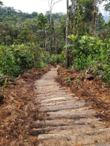 Log Paths for Erosion Control