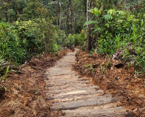 Log Paths for Erosion Control