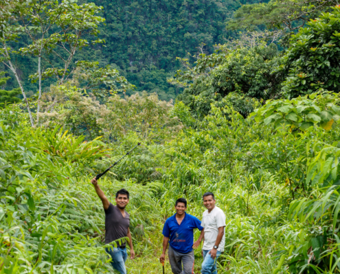 Exploration crew in the field