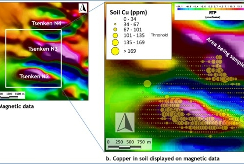 Gridded magnetic data Tsenken targets