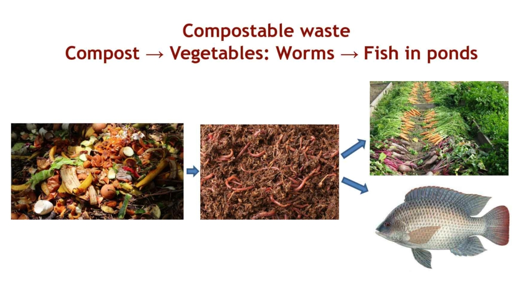 Figure 5. Developing sustainable sources of protein in remote communities