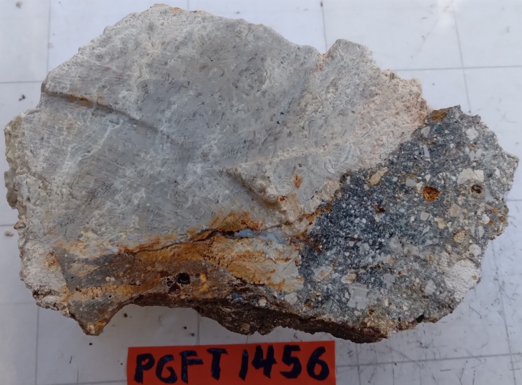 Figure 2: Silicified clasts within breccia.